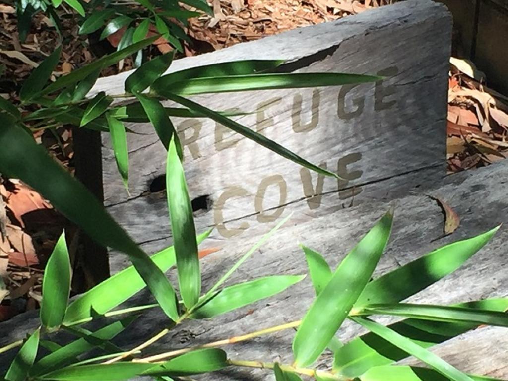Apartament Refuge Cove On Pittwater Clareville Zewnętrze zdjęcie